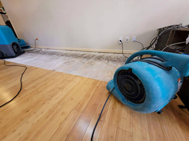 Professional Flood Damage Cleanup technician working in Amissville, VA